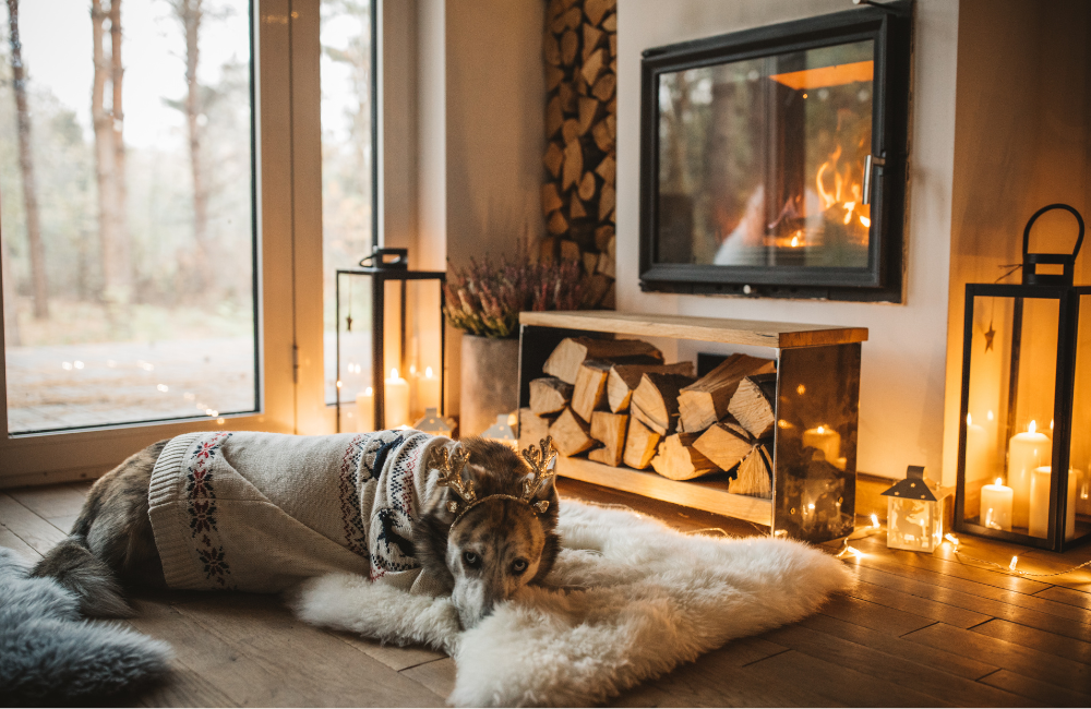 winter-proof-maintenance