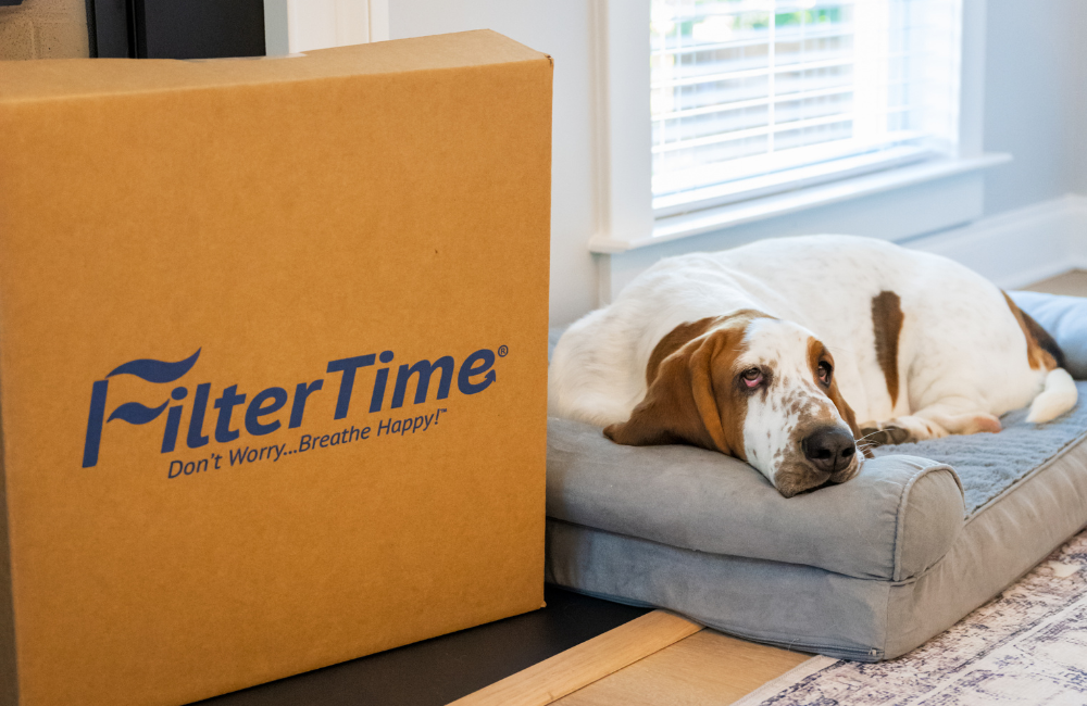 Streamlining Maintenance with FilterTime’s Air Filter Delivery Program