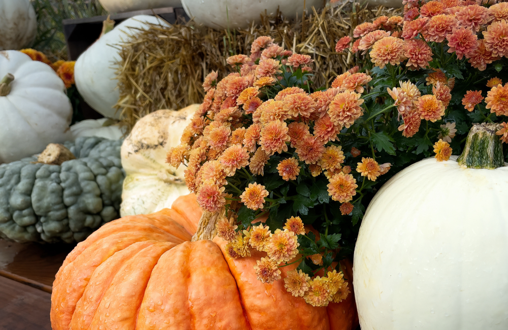 Top 5 Fall Maintenance Tasks That Protect Your Properties Year-Round